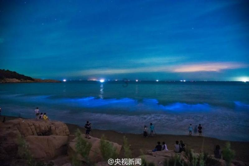 唯一的幸存者