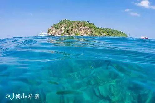 阿布是坏人？小知识车轮为什么是圆的？游戏画面