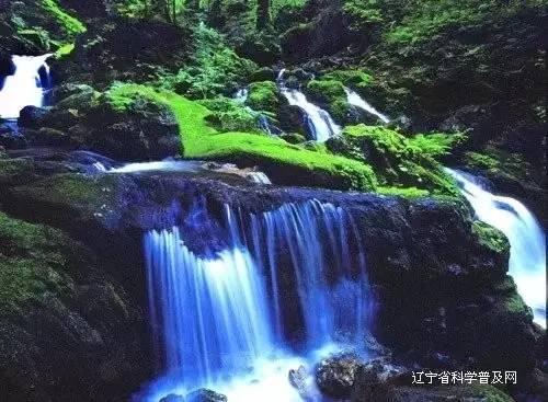 寻找遗失的光盘